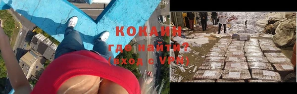ГАЛЛЮЦИНОГЕННЫЕ ГРИБЫ Верея
