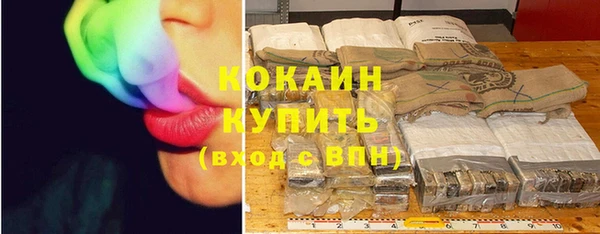 ГАЛЛЮЦИНОГЕННЫЕ ГРИБЫ Верея