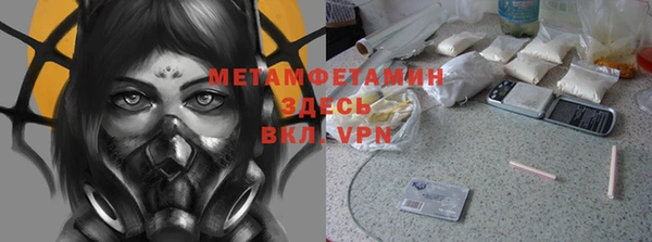 ГАЛЛЮЦИНОГЕННЫЕ ГРИБЫ Верея