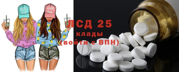 ГАЛЛЮЦИНОГЕННЫЕ ГРИБЫ Верея