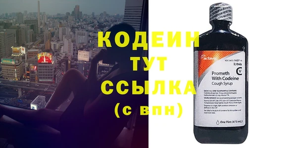 ГАЛЛЮЦИНОГЕННЫЕ ГРИБЫ Верея