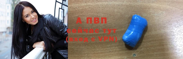ГАЛЛЮЦИНОГЕННЫЕ ГРИБЫ Верея