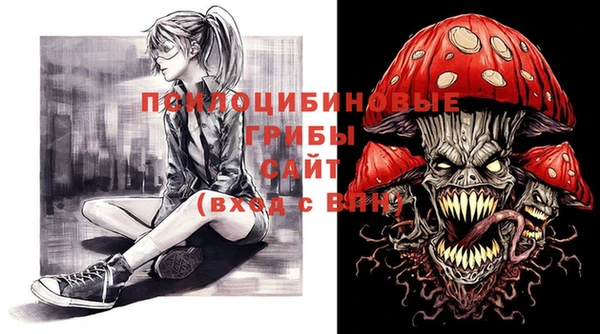 ГАЛЛЮЦИНОГЕННЫЕ ГРИБЫ Верея