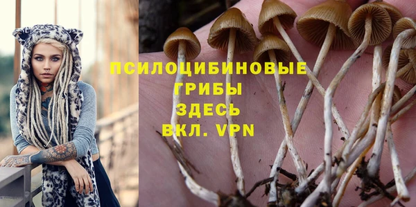 MDMA Верхний Тагил
