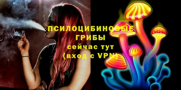 MDMA Верхний Тагил