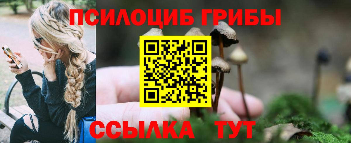 Псилоцибиновые грибы мицелий  Галлюциногенные грибы ЛСД  Вход с VPN  Северобайкальск 